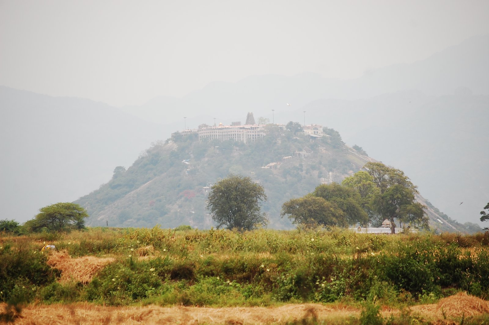 Palani Murugan Temple gopuram at dawn